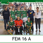 mini-fem-16-a