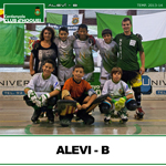 alevi-b-small