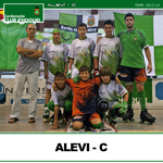 alevi-c-small