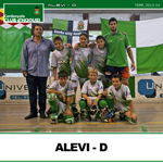 alevi-d-small