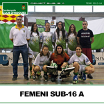 femeni-sub16a-small