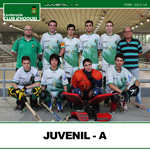 juvenil-a-small