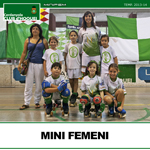 mini-fememi-small