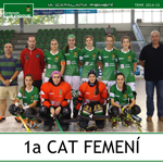 mini-1a-cat-fem