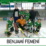 mini-benjafem