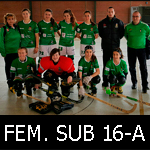 FEM16A-mini