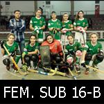 FEM16B-mini