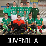 JUVENIL-A-mini