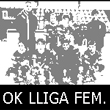 OK-LLIGA-FEM-mini